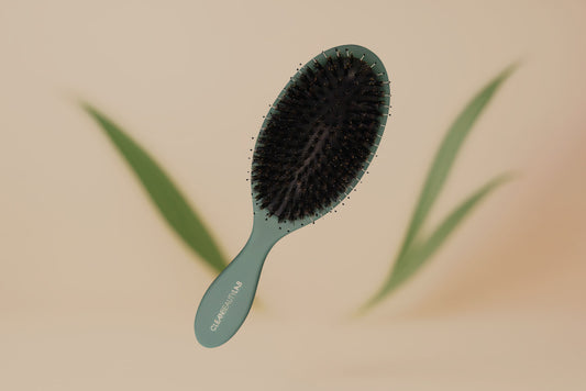 CBL Signature Paddle Brush